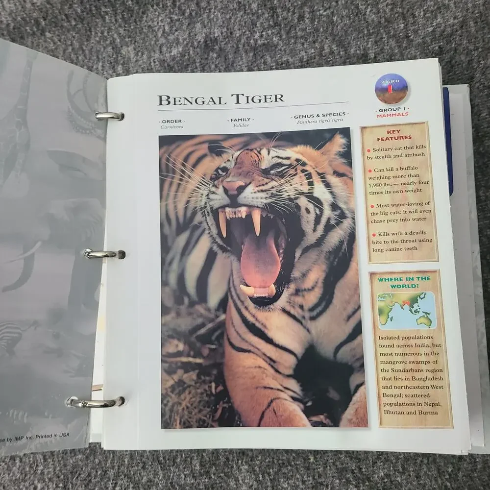 WILDLIFE EXPLORER Set 2 Binders w/Fact Cards Animal Birds Science Home School